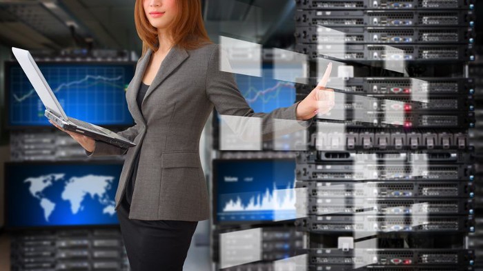 E-Commerce Executive